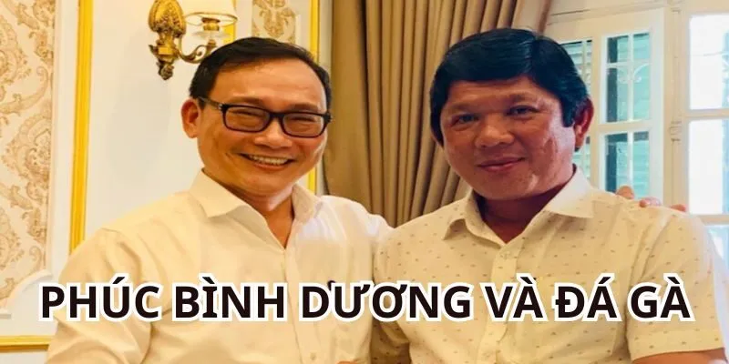 Cơ duyên của Phúc Bình Dương với ngành đá gà