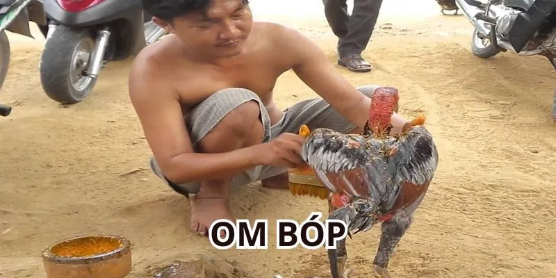 Om bóp - Một thuật ngữ đá gà Thomo thường thấy