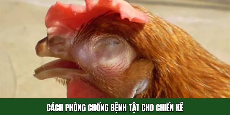 Những phương pháp phòng chống hiệu quả từ chuyên gia